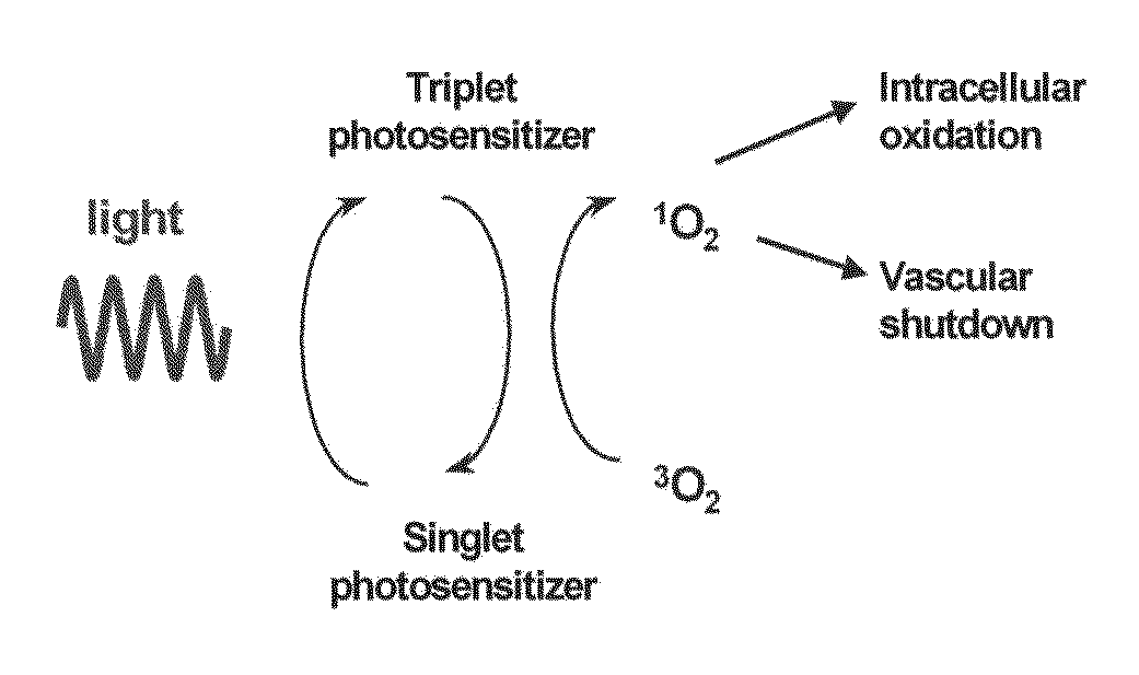 Pdt treatment method for cellulites and cosmetic use