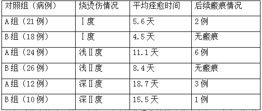 Zhuang external washing medicine liquid for treating burn and scald and method for preparing Zhuang external washing medicine liquid