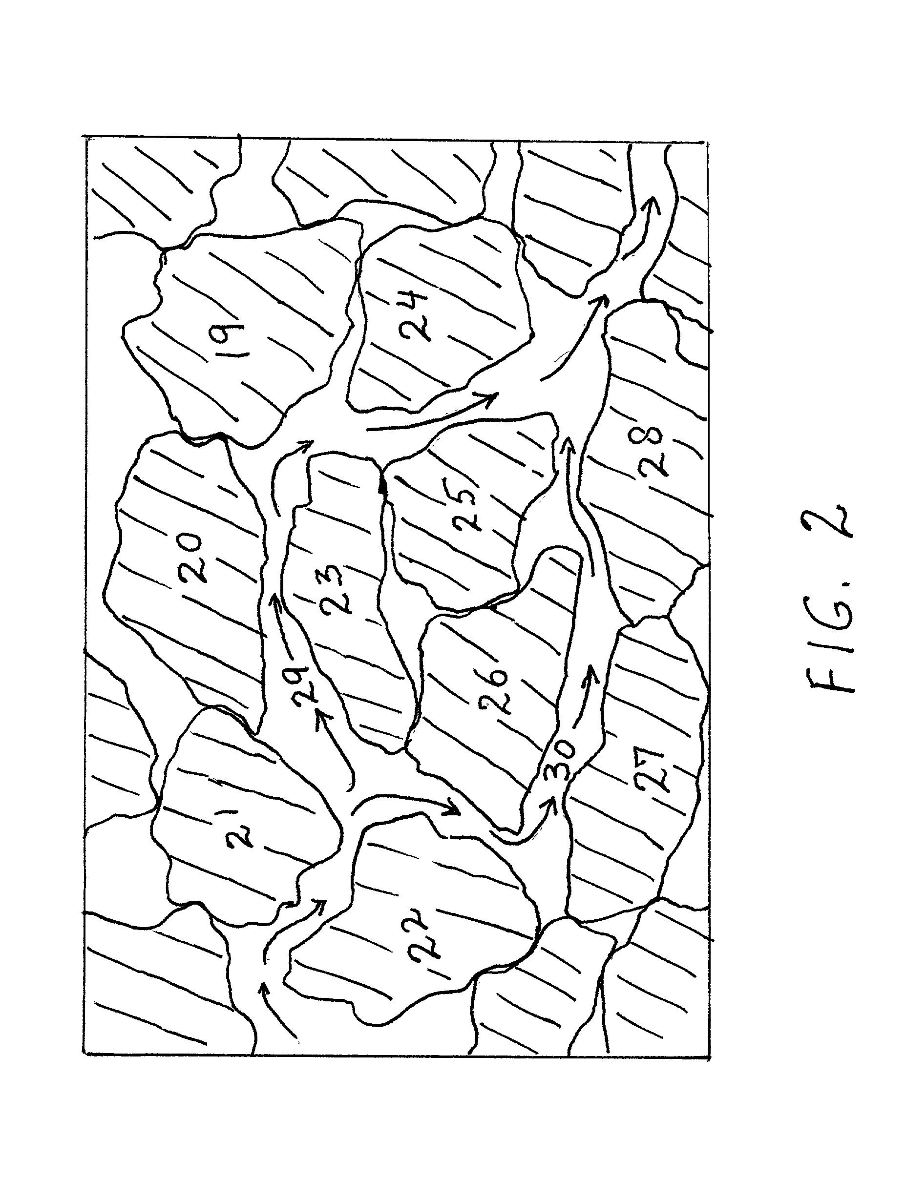 Mapping permeable reservoir formations by measuring the elastic nonlinear interactions of a seismic wave as it propagates through the reservoir rock matrix and its pore fluids