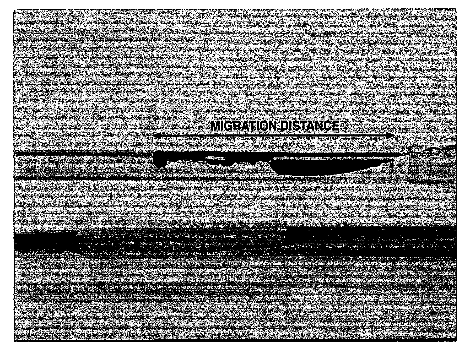 High viscosity embolizing compositions