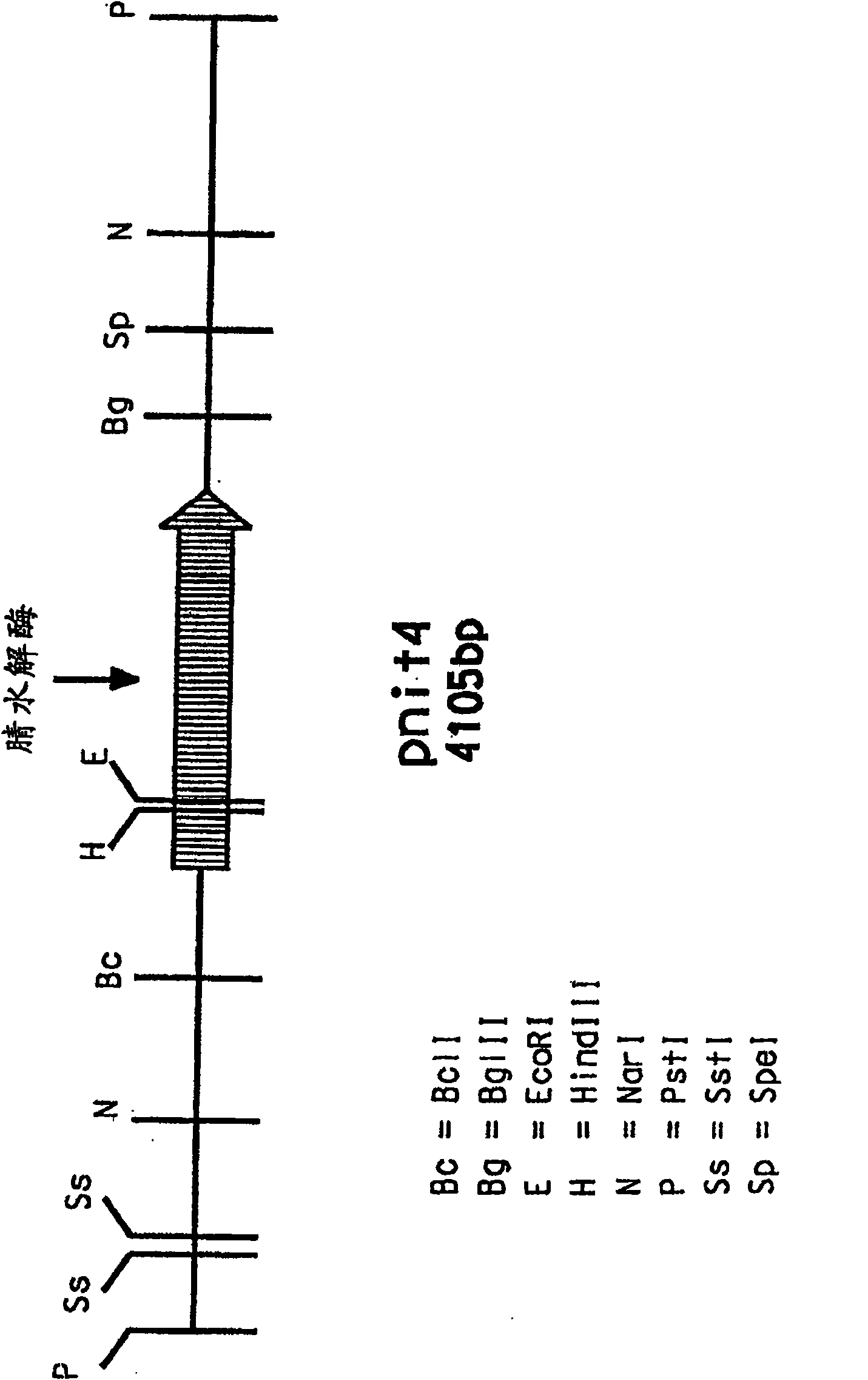 Isolation and expression of a gene for a nitrilase from acidovorax facilis 72W