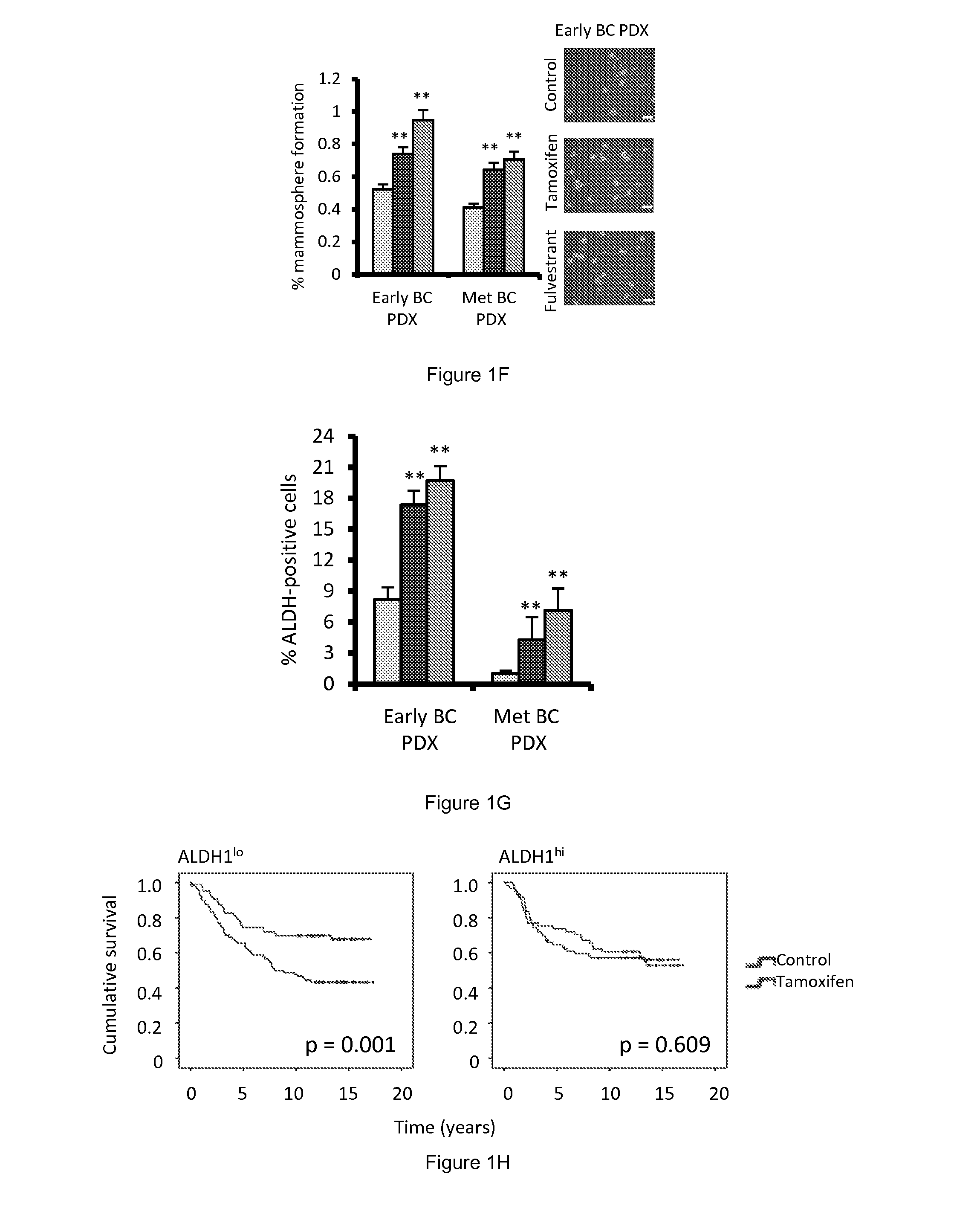 Breast Cancer Biomarker