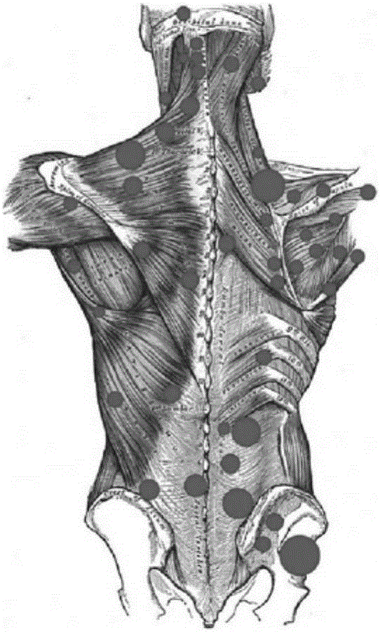 Optical instrument for automatically searching myofascitis trigger point