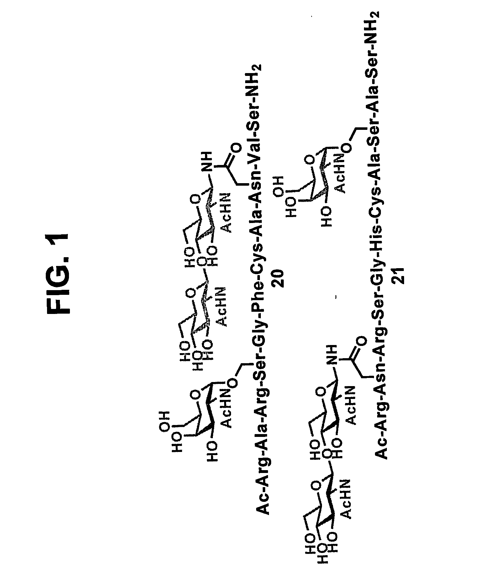 Method for preparing polyfunctionalized peptides and/or proteins via native chemical ligation