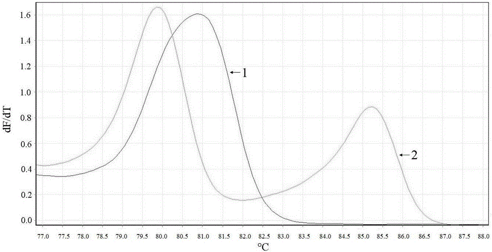 Clopidogrel drug-resistant gene detection method based on multiple HRM analysis