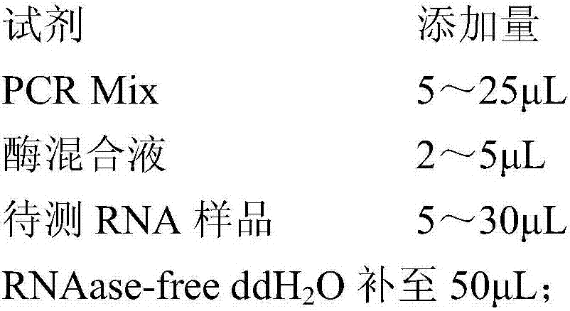 Real-time fluorescence quantitative reverse transcription-polymerase chain reaction (RT-PCR) detection primer group, detection probe group, detection kit and detection method for detecting hepatitis B virus (HBV) pregenome ribonucleic acid (pgRNA)