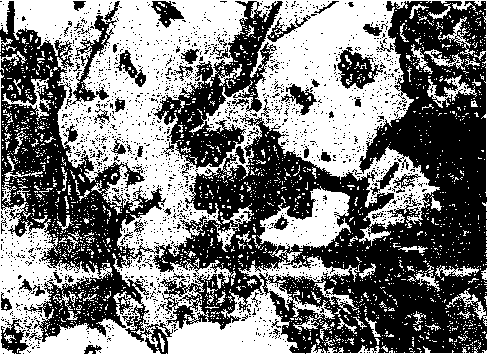 Copper alloy wear-resistant material and manufacturing method thereof