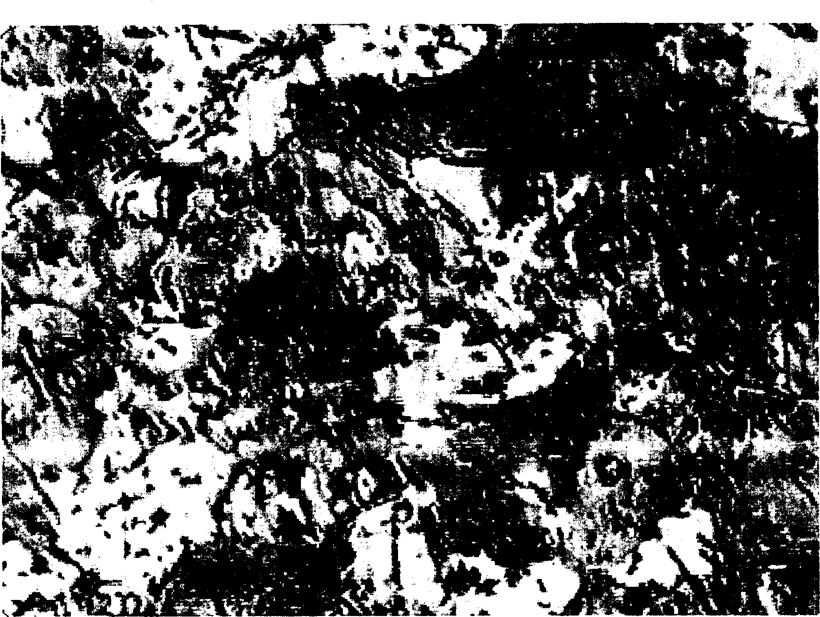 Copper alloy wear-resistant material and manufacturing method thereof