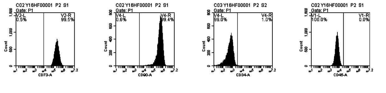 Primary isolation method for hair follicle stem cells