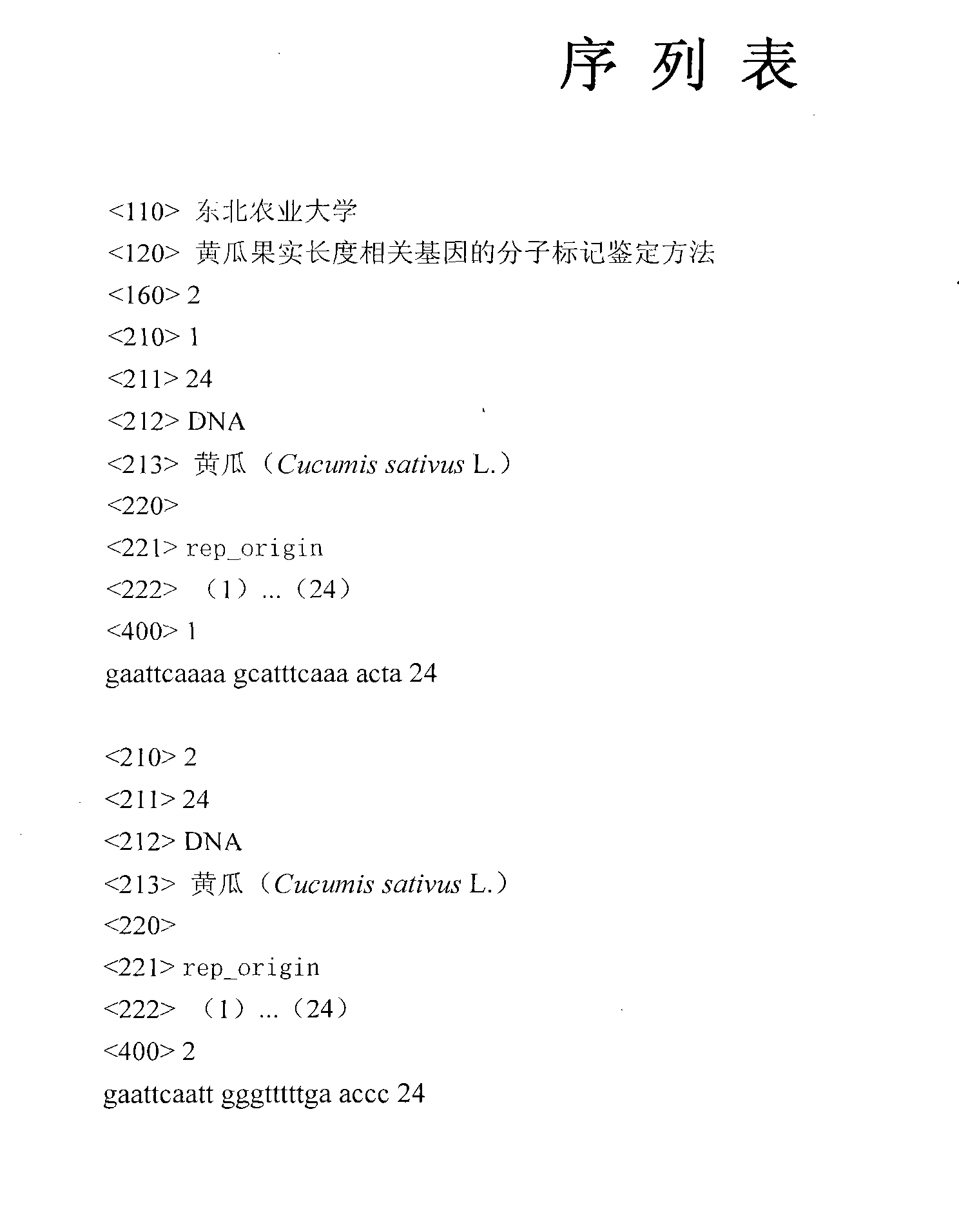 Molecular marker authenticating method for related gene of cucumber fruit length