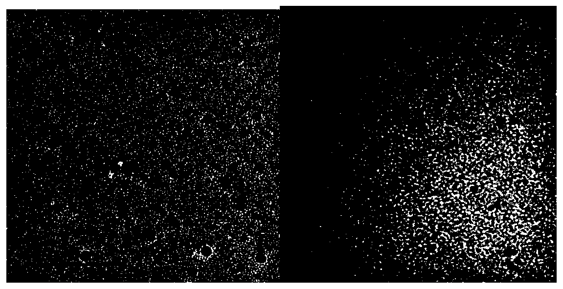 Method for preparing silver nano-particles with amino-pillar [5] arene as stabilizer