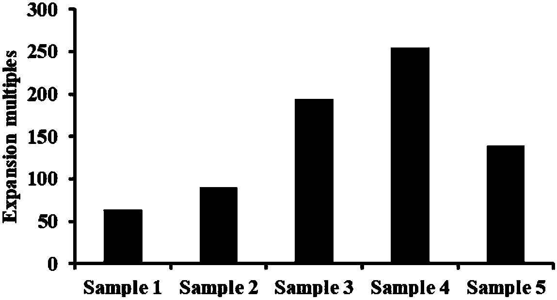 Method for controlling incubator to be applicable to induction and amplification of immune cells