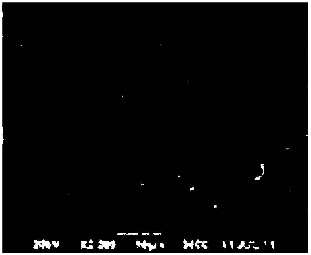 Antiallergic photocatalyst whitening toothpaste and preparation method thereof