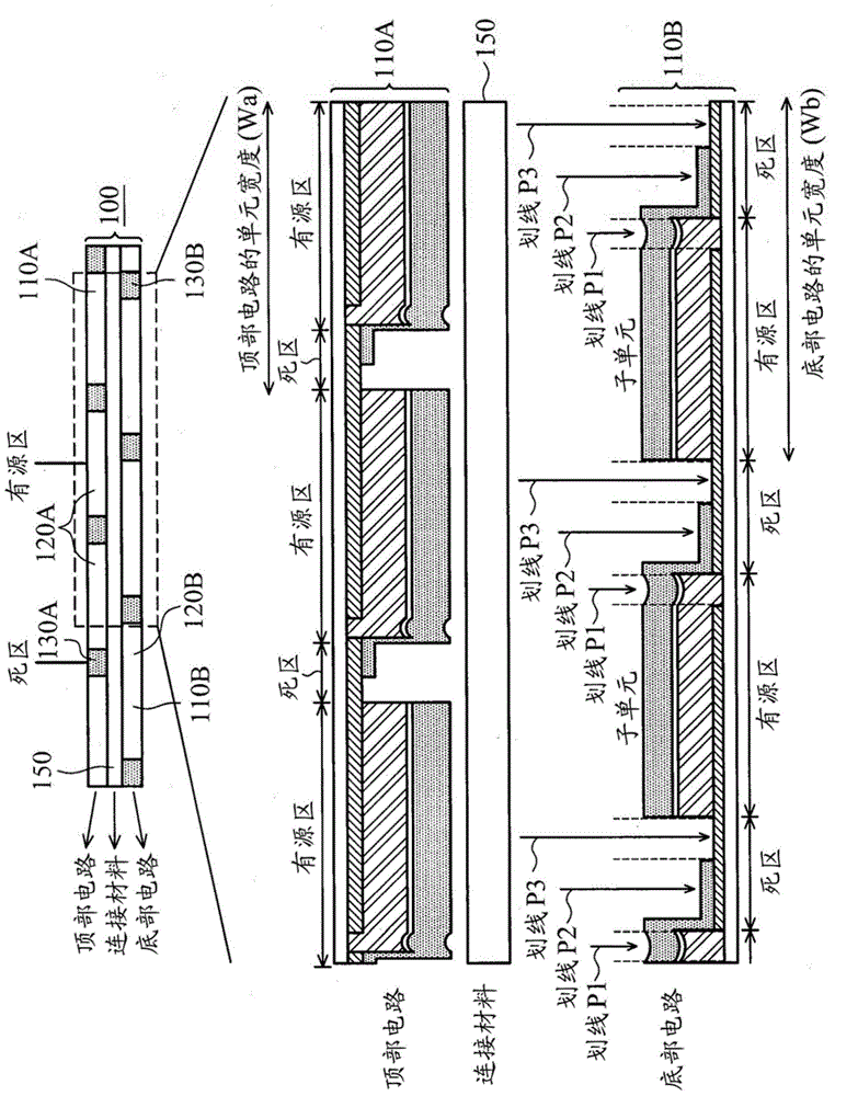 Solar cell module