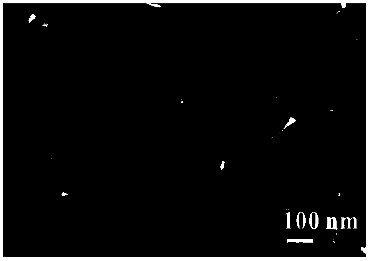 Carbon layer-coated chromium-doped strontium titanate/titanium dioxide nanotube photoelectrode and its preparation and application