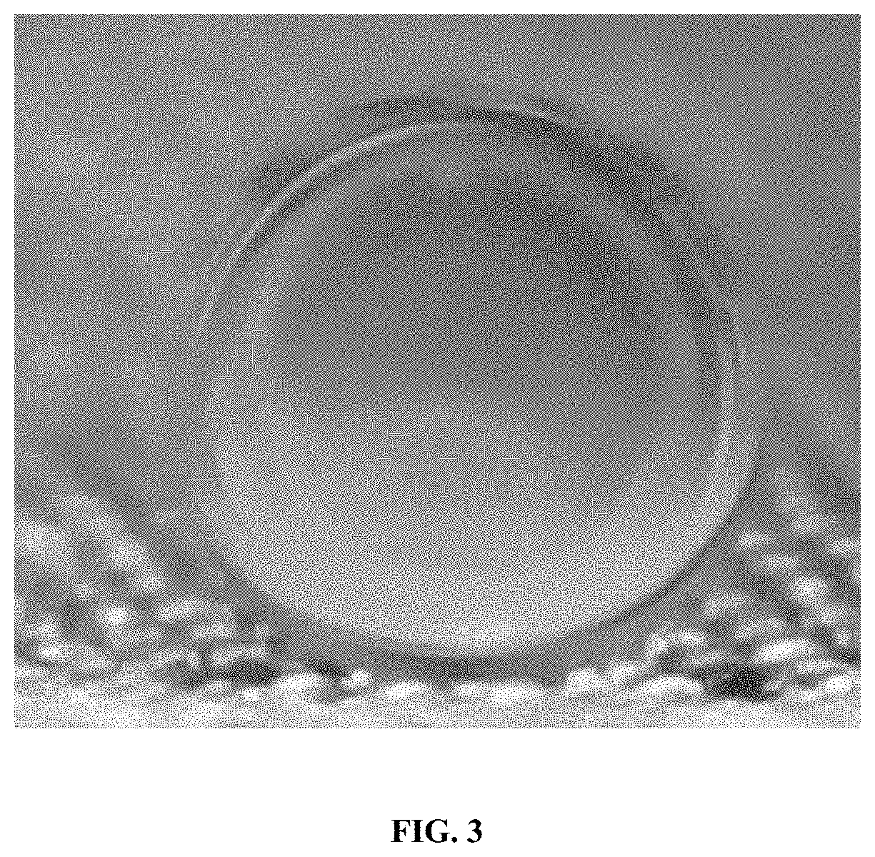 Super-hydrophilic, super-oleophobic membranes comprising carbohydrate derivatives