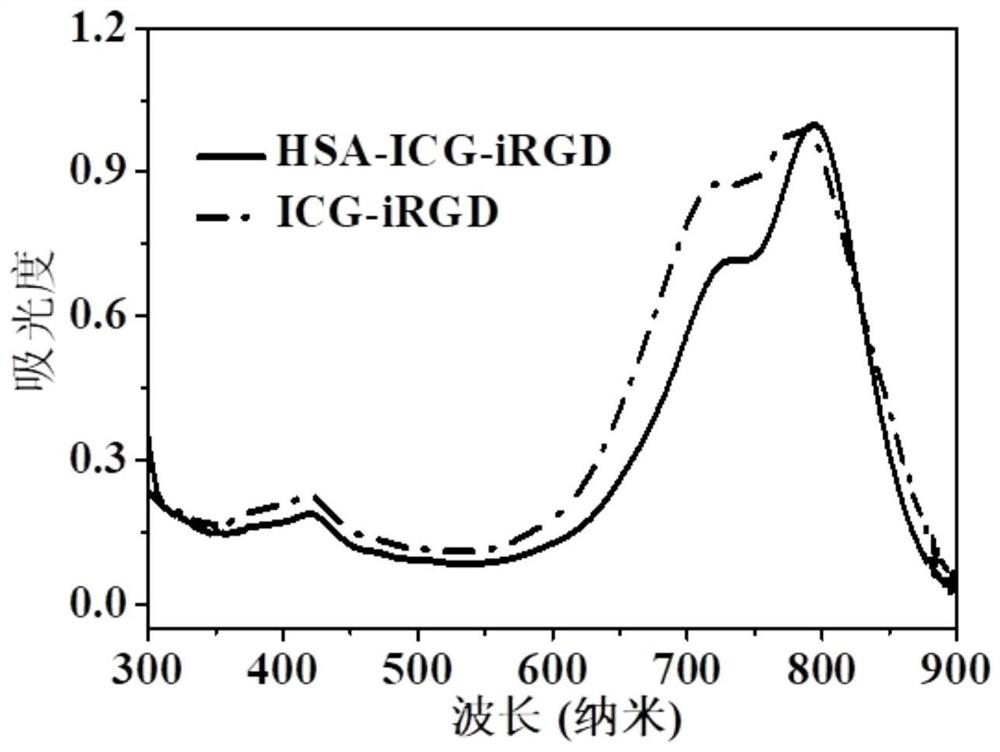 Tumor diagnosis and treatment medicine and preparation method and application thereof