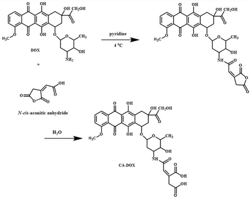 Mesoporous silica prodrug nanoparticle for combined photothermal therapy and chemotherapy, and preparation method and application thereof