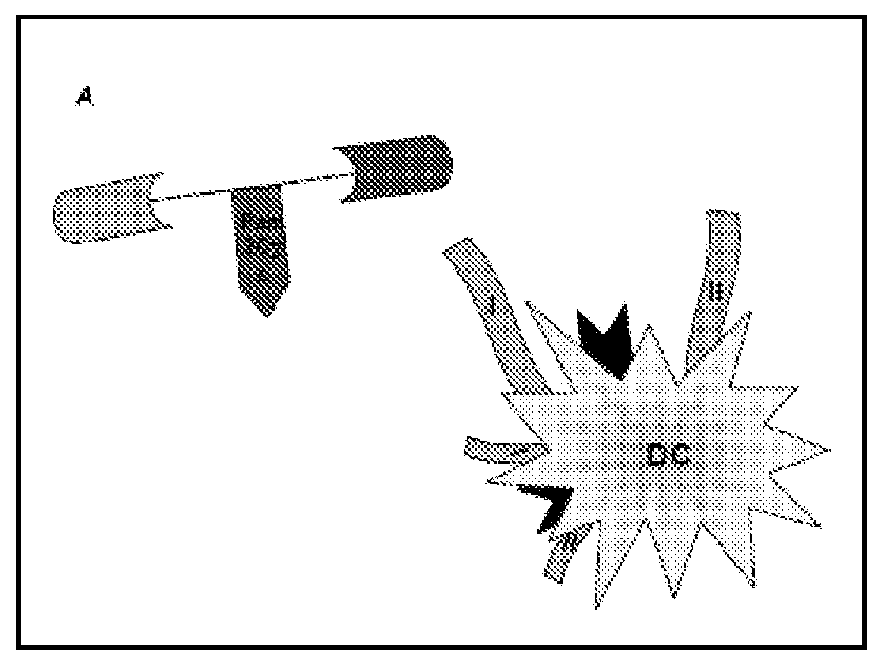 Synthetic immunogen useful for generating long lasting immunity and protection against pathogens