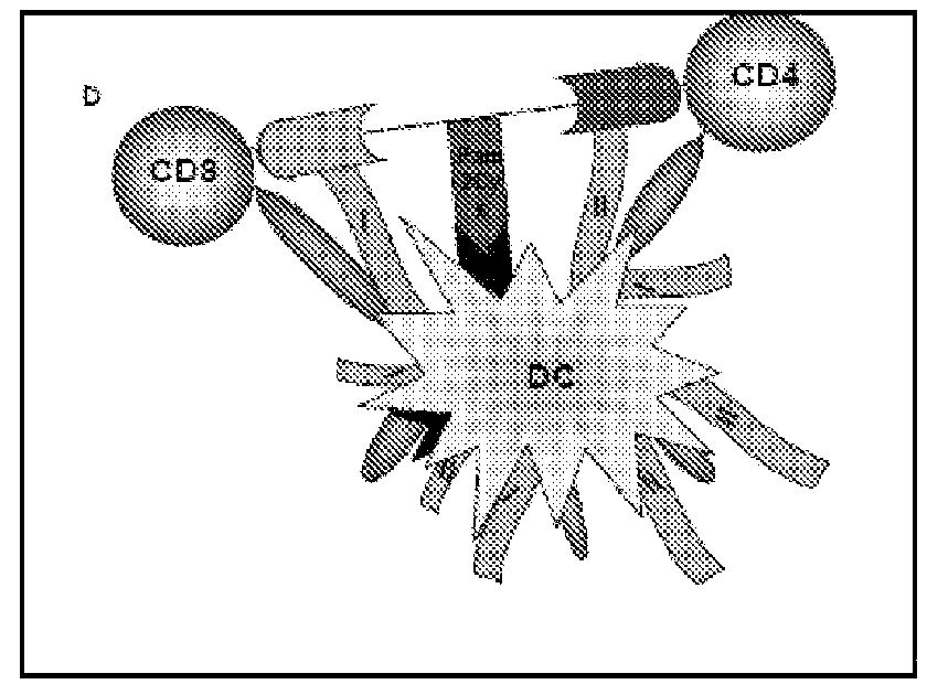 Synthetic immunogen useful for generating long lasting immunity and protection against pathogens