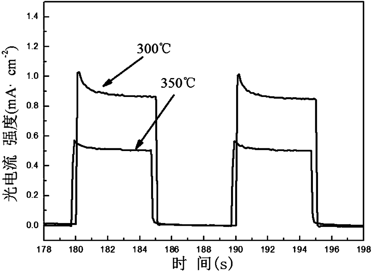 A kind of bismuth tungstate film with porous network structure and its preparation method and application