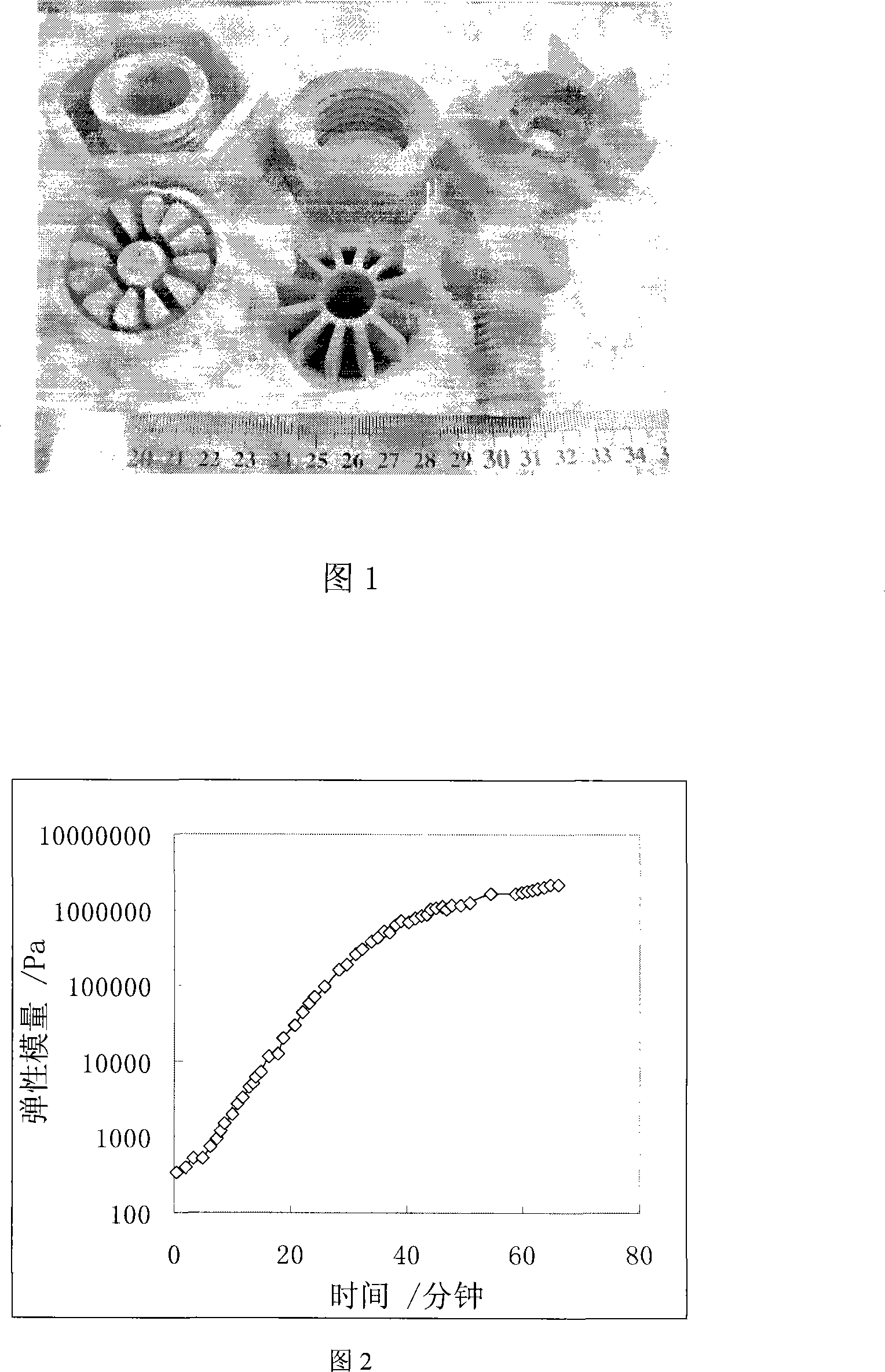 Preparation method of silicon carbide ceramic body for rubber mold