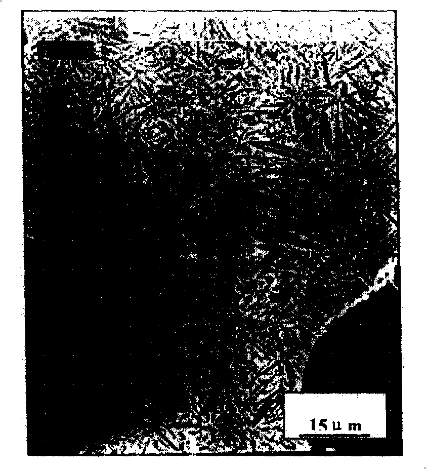 Controlled cooling heat treating process and its device for bainite ductile iron