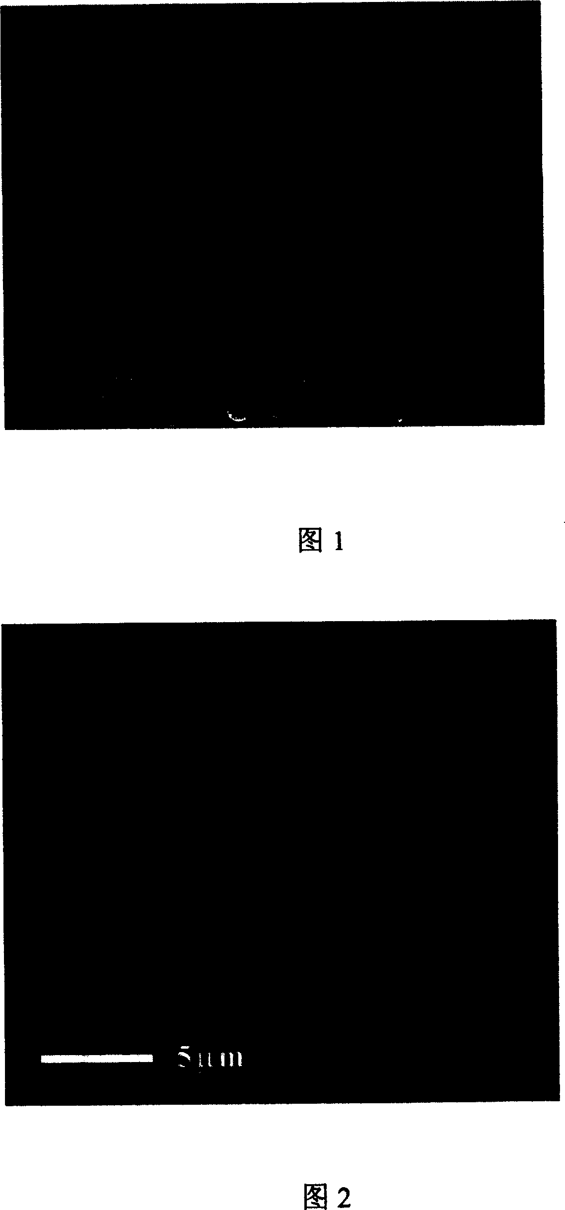 Prepn process of microcapsule with included anticancer medicine