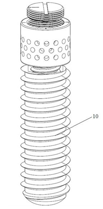 Medicine carrying base for dental implant