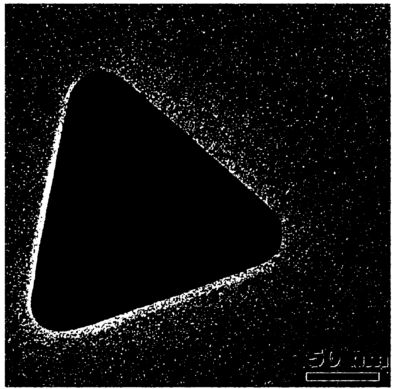 Preparing method of triangular flaky nanometer silver particles