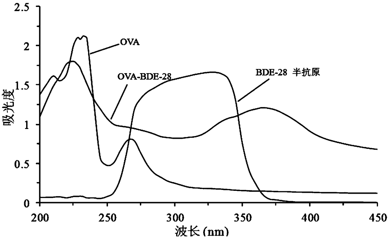 2,4,4'-tribromodiphenyl ether hapten preparation method and application thereof