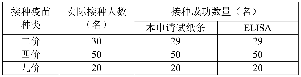 Rapid detection test strip for HPV antibody, and preparation method and use method thereof