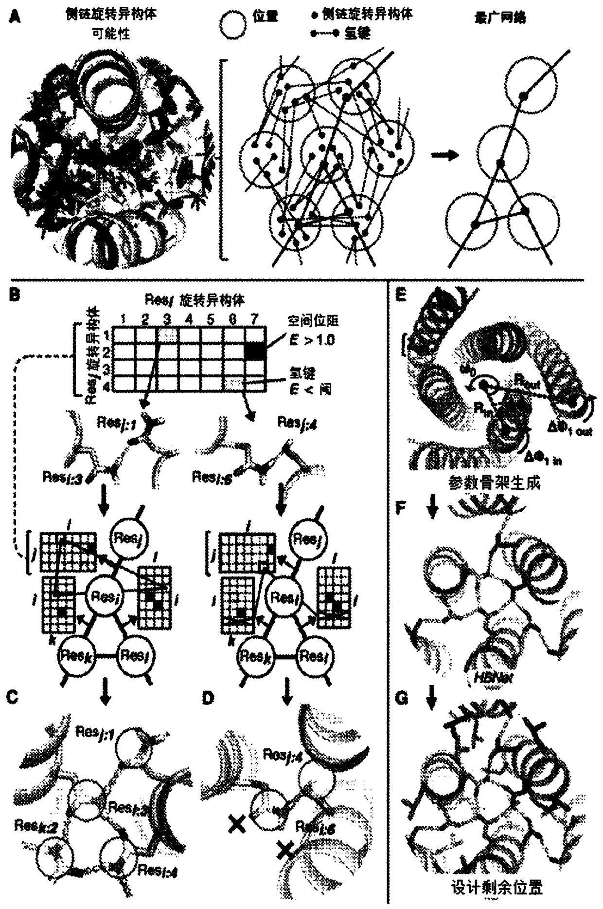 Polypeptides capable of forming homo-oligomers with modular hydrogen bond network-mediated specificity and their design