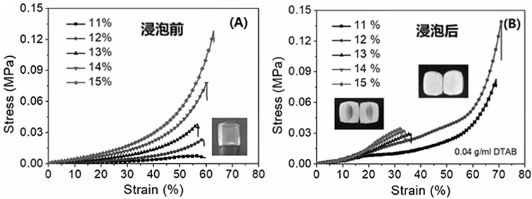 A kind of gradient structure protein hydrogel and preparation method thereof