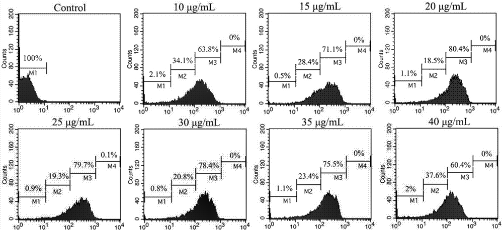 Double-labelled immunofluorescence detection test paper for acidovorax avenae subsp.citrullii of melons