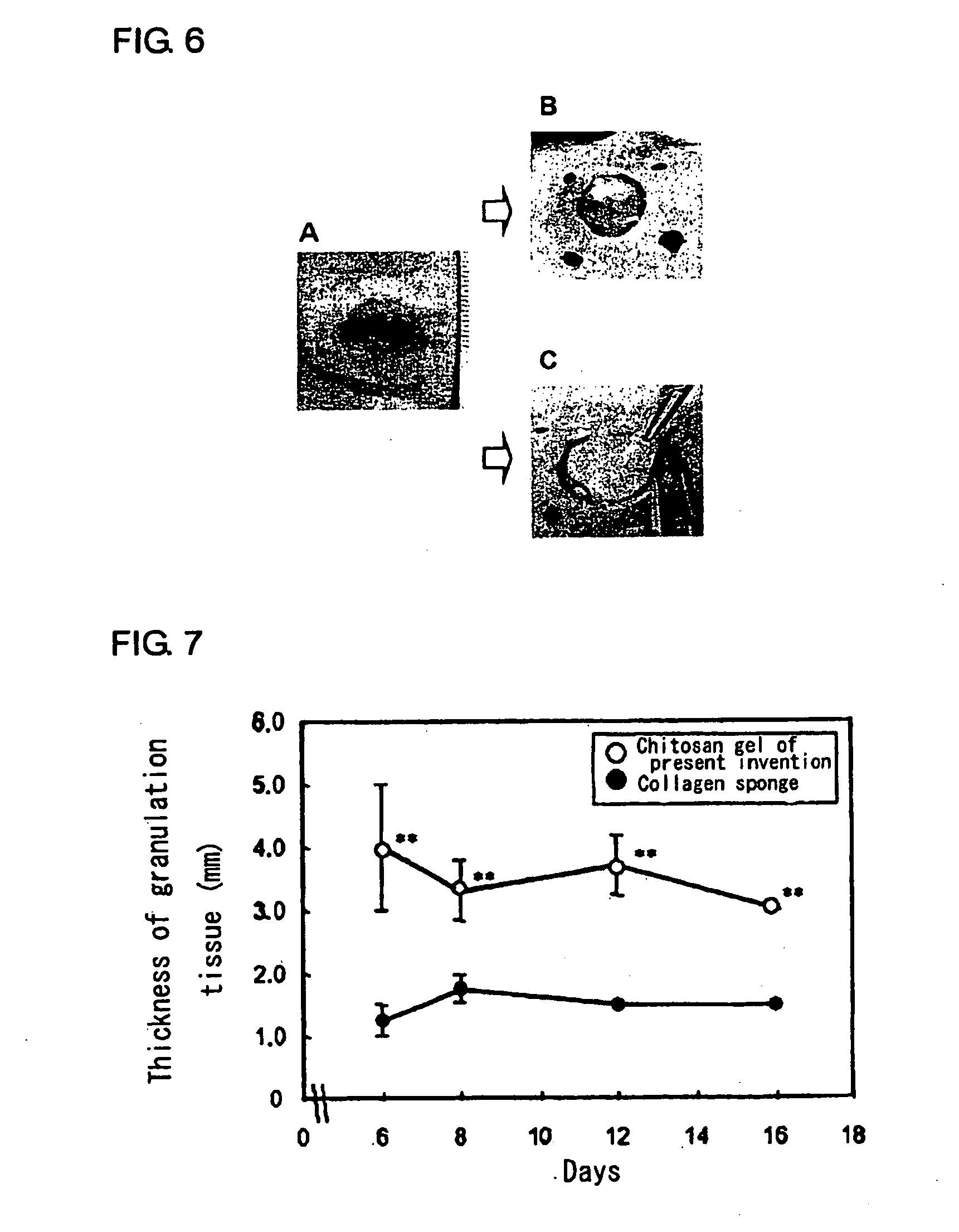 Medical composition for promotion of skin regeneration