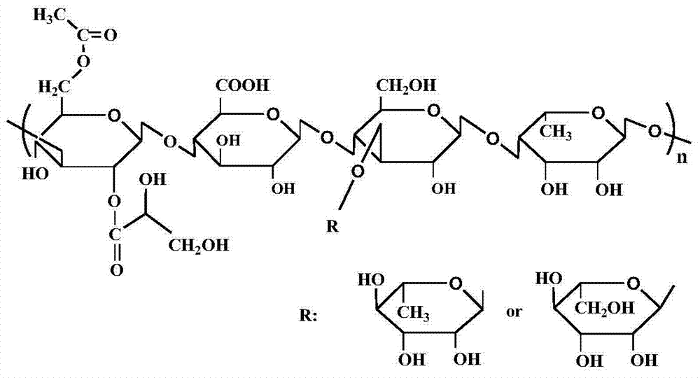 A kind of viscoelastic nanoemulsion and preparation method thereof