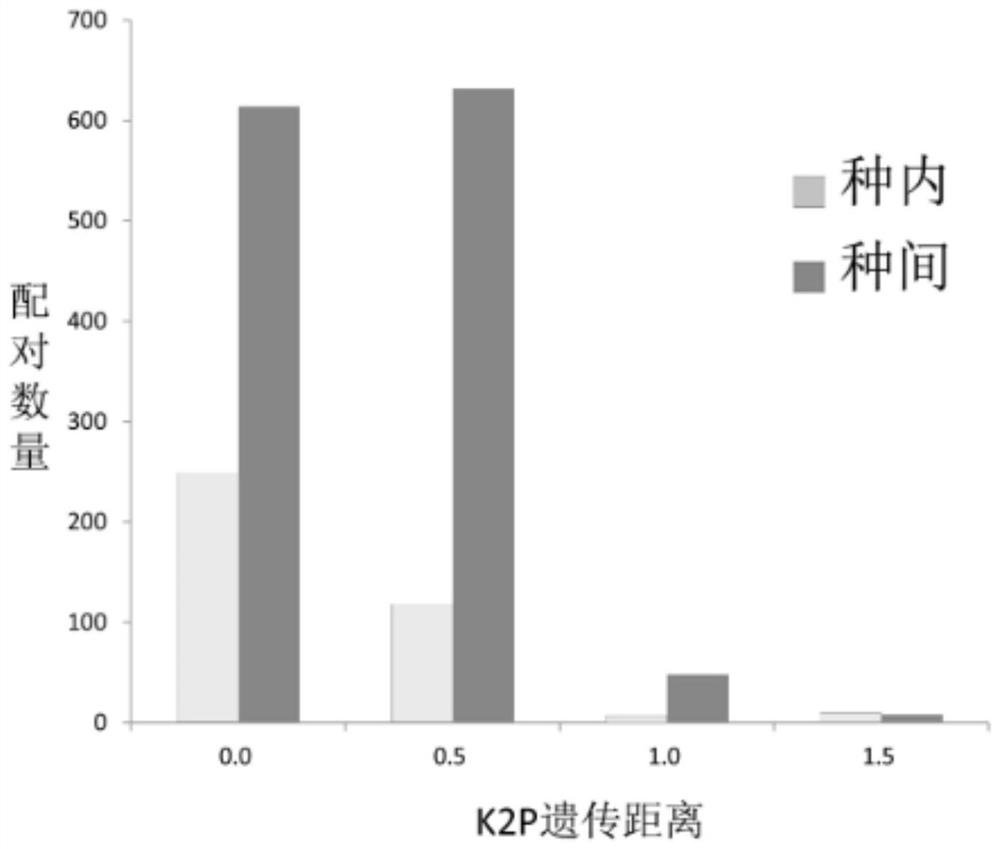 A method and application for identifying taxonomic status and species of Petunia and related genera