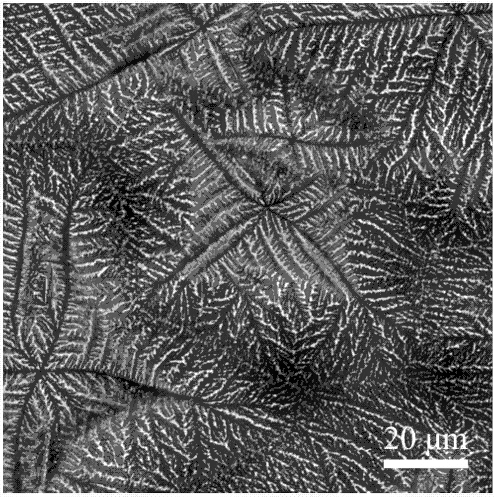 Method of freezing Schwann cells by compound low-temperature cryopreserving system