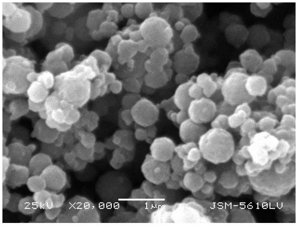 Edible protein, fat and polypeptide composition and self-assembling method thereof