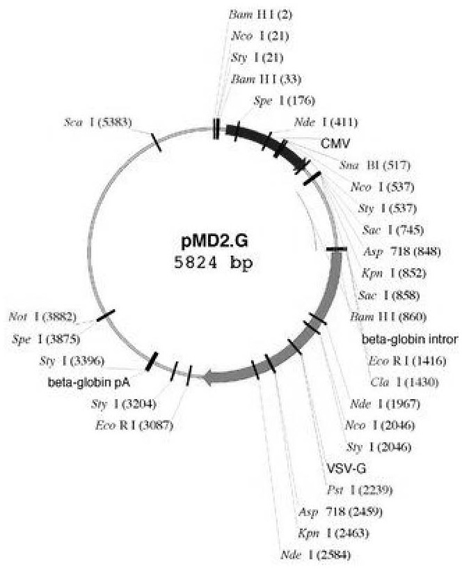 msc-tnf α-AB stem cell and its preparation method and application