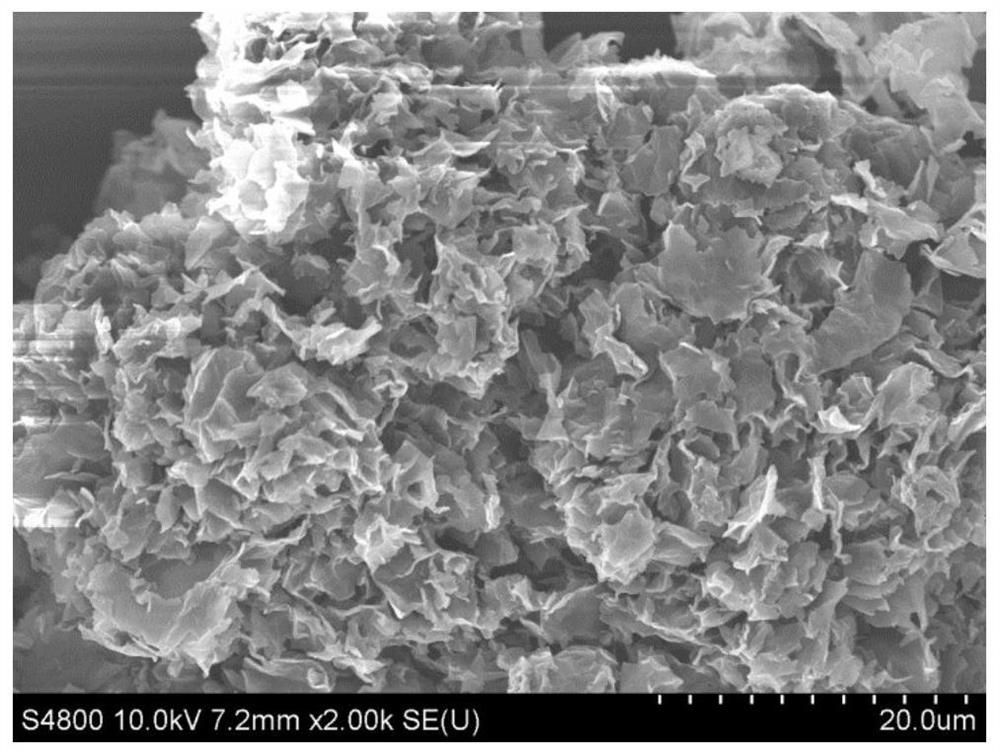 A kind of solid acid catalyst, foam structure carbon material and preparation method