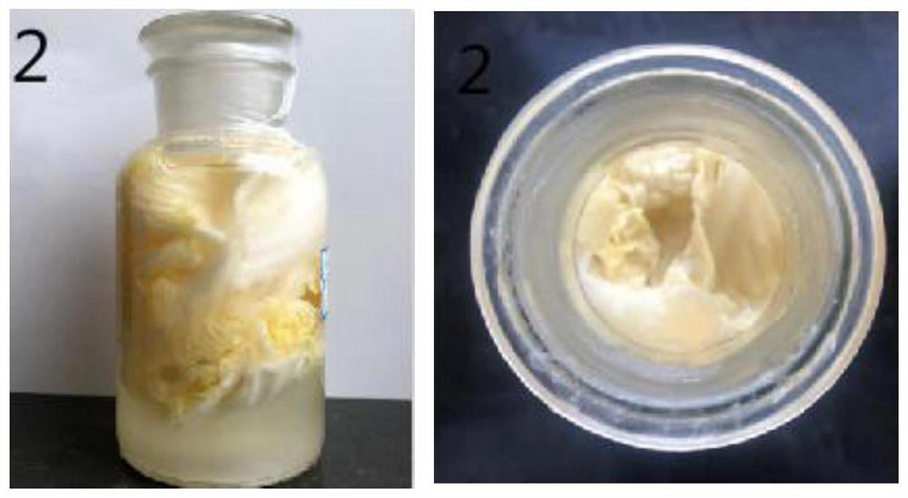 Chinese sauerkraut compound leavening agent as well as preparation method and application thereof