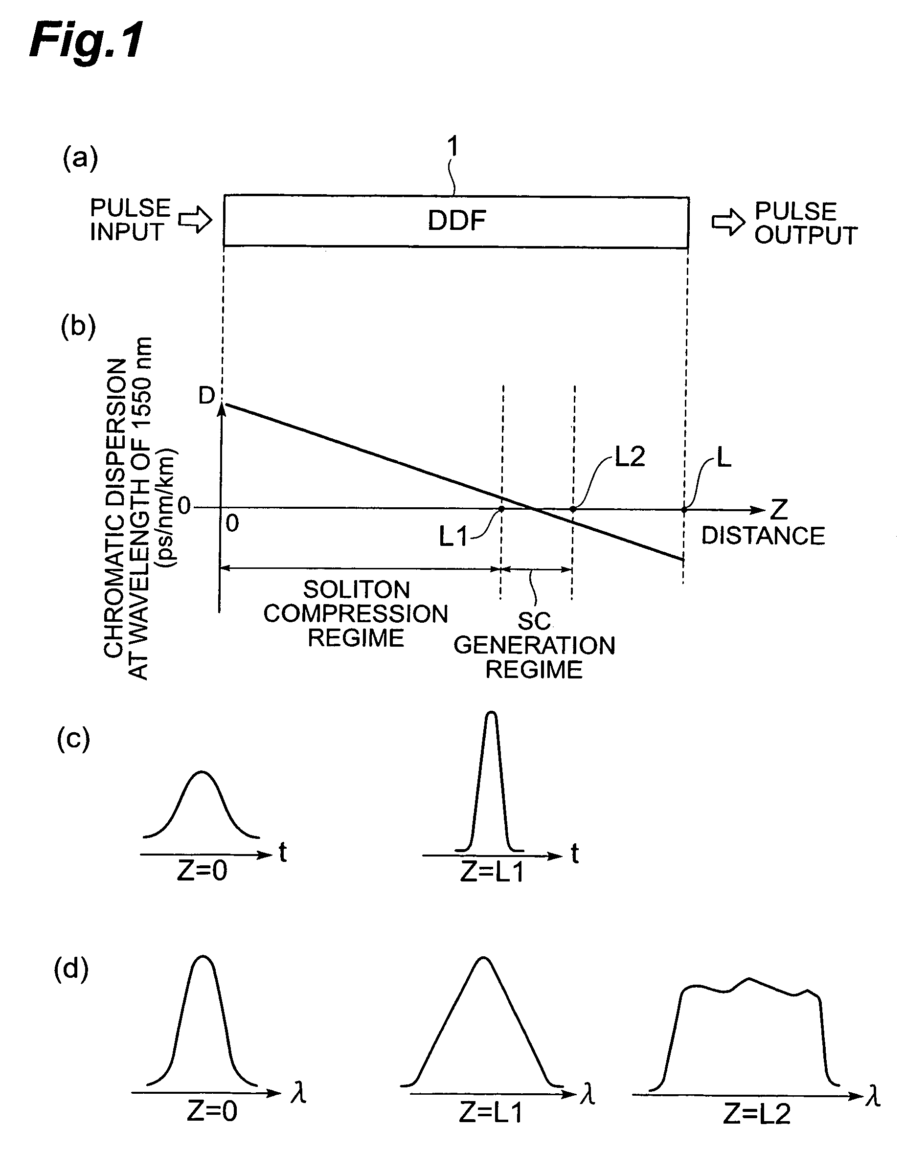 Light source apparatus