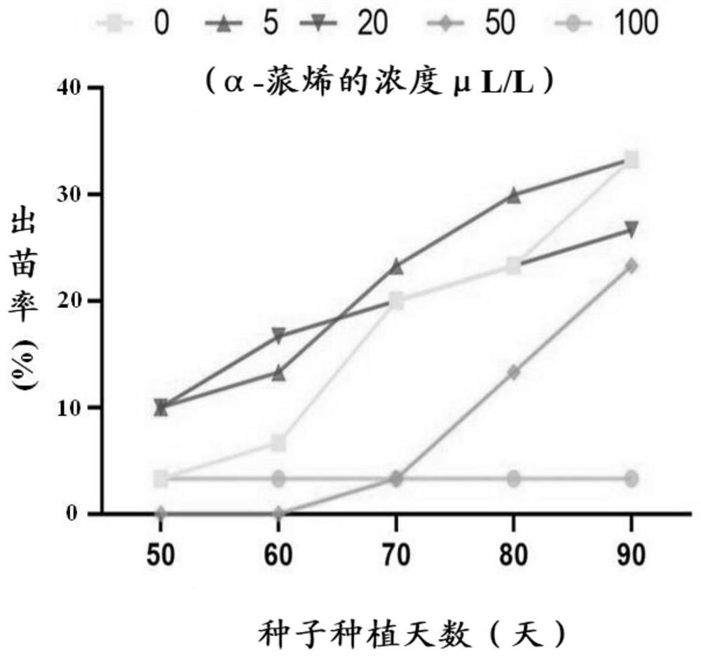 Application of alpha-pinene in promoting growth of panax notoginseng and inducing resistance