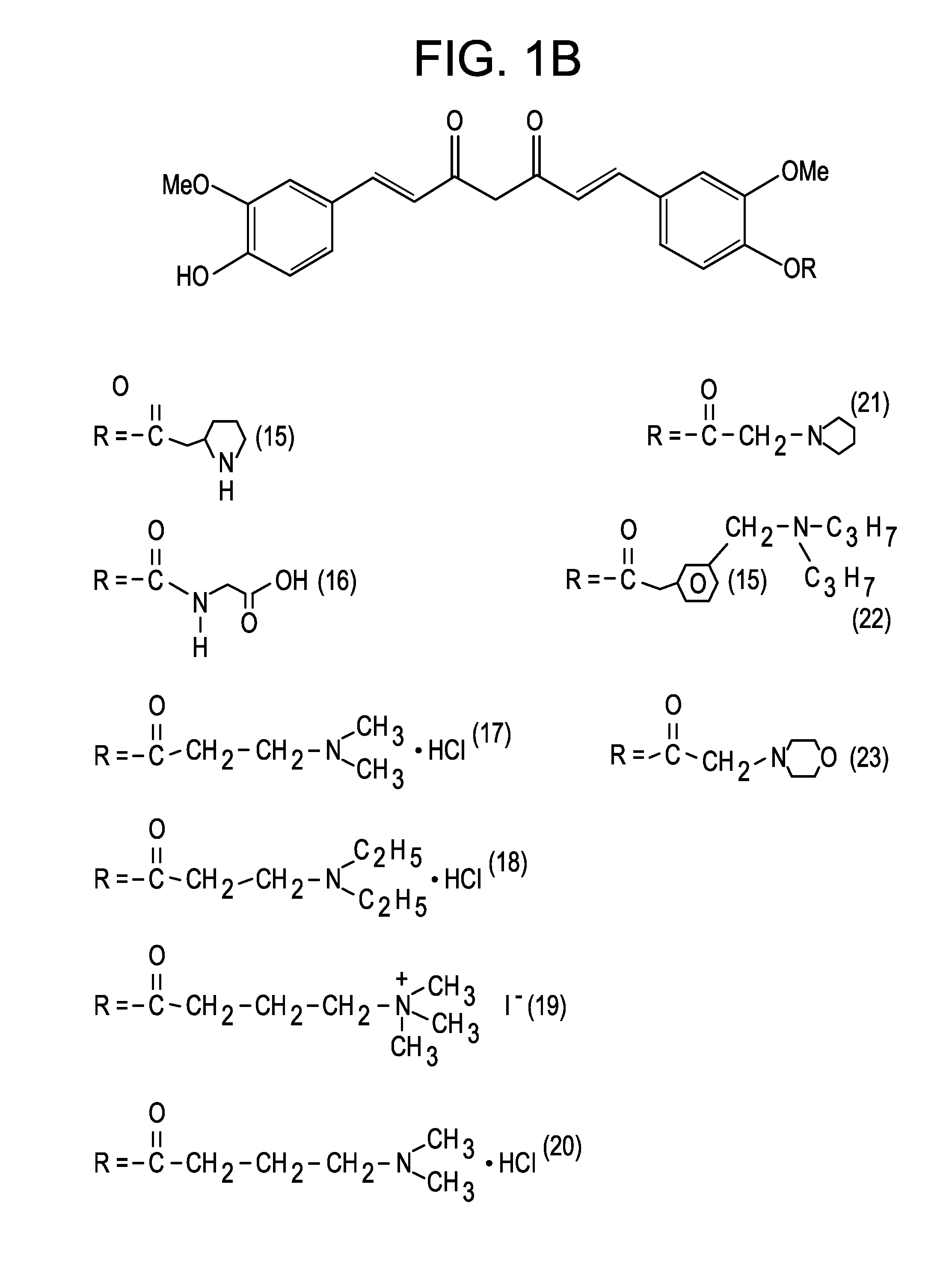 Intranasally administering curcumin prodrugs to the brain to treat alzheimer's disease