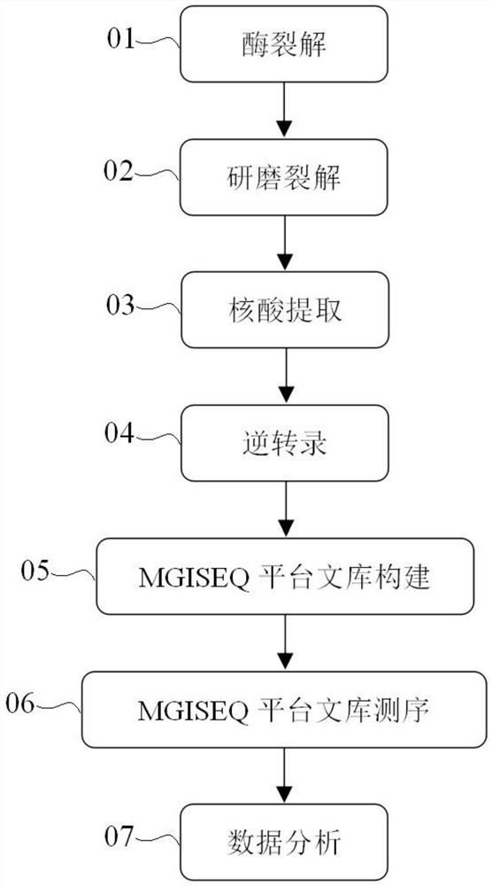 Method, solution and kit for simultaneously detecting multiple microbial genomes