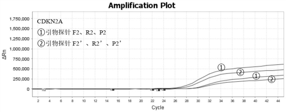 Primer probe composition, kit and method for early screening of liver cancer