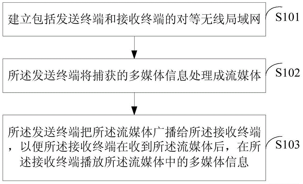 Method and device for achieving terminal multimedia broadcast