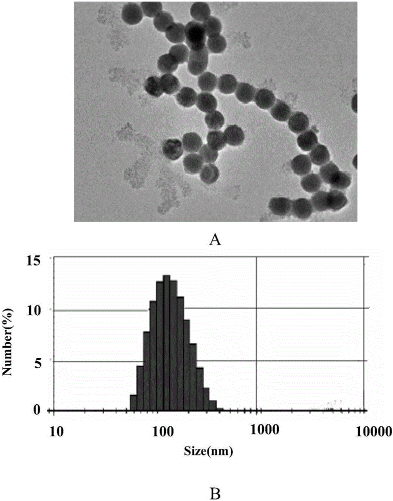 Green alga poly-saccharification nano-selenium and preparation method and application thereof